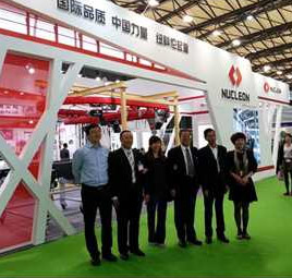 Nucleon(xinxiang) Crane Co., Ltd.